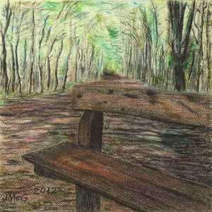 Coloured pencil drawiing of a forest seat